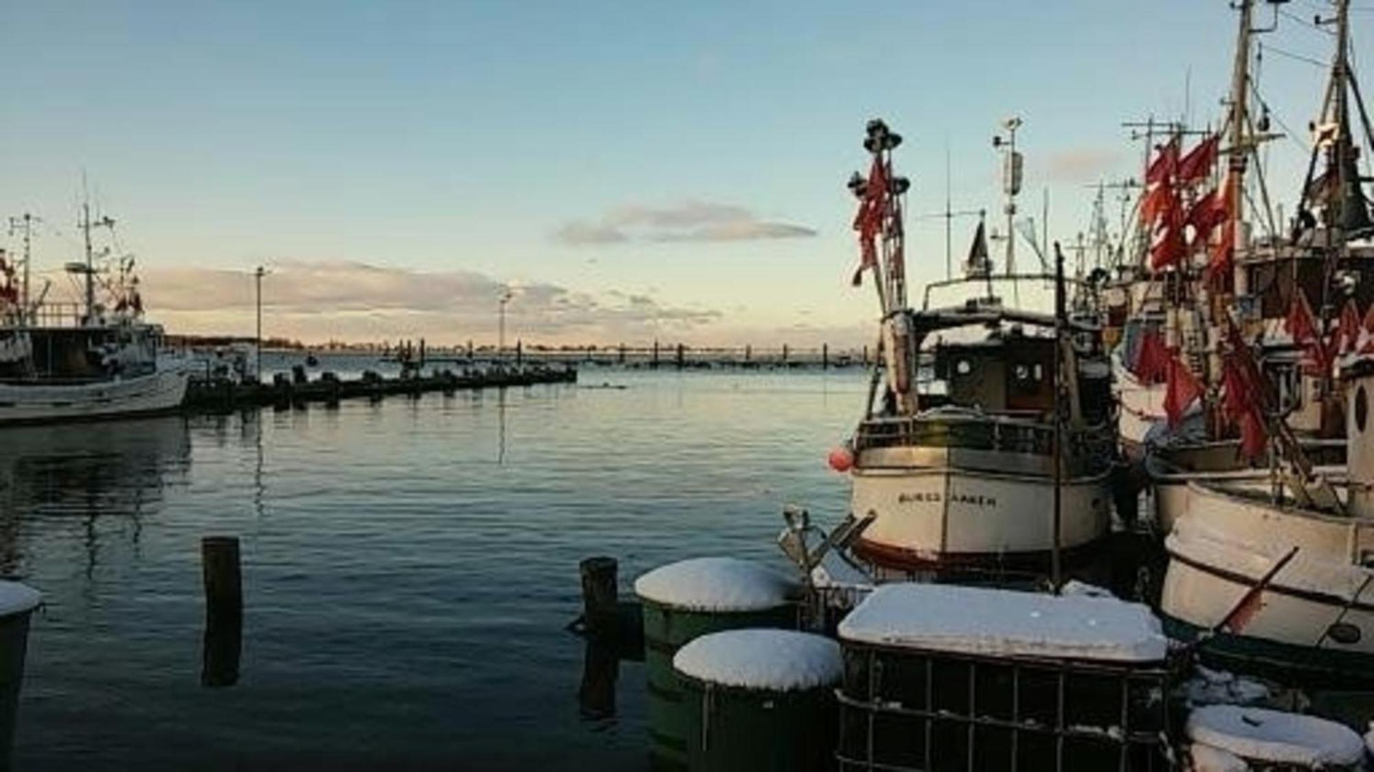 Appartamento Fw Einfeldt Hinrichsdorf Esterno foto